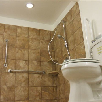 Accessible Systems