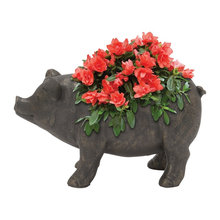 Wish List