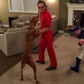 Andrew Gindlesberger's photo