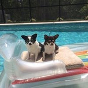 Joyce Greiner's photo