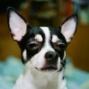 Victor Tseng's photo