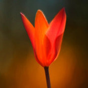 Betsy Barr's photo
