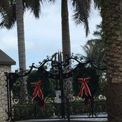 Bonnie Woodward's photo
