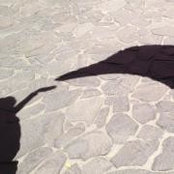 Aldo Rodriguez's photo