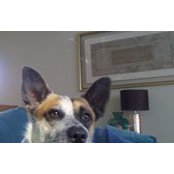 Ben Horen's photo