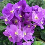Janeen Kusar-Nufer's photo
