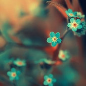 Linda Wampler's photo