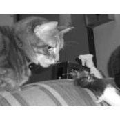 Brandy Rennu's photo