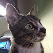 Melissa Makeiff's photo