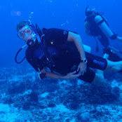 Joseph Picardi's photo