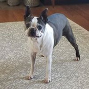 Terry Jenkins's photo