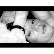 Robin Adkins's photo