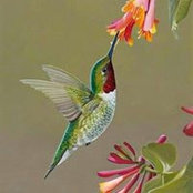 Foto de Ginger McElroy
