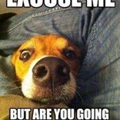 Graham Sperring's photo