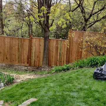 Pressure-treated privacy fence running past mature trees along an Oakville prope