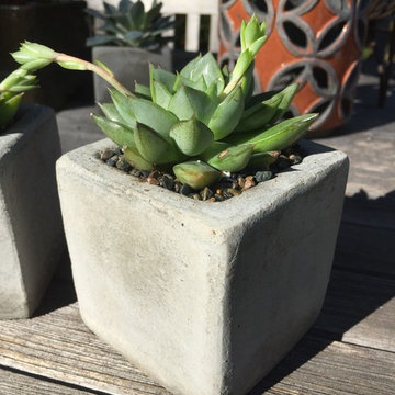 Garden Inspired Decor & Gifts