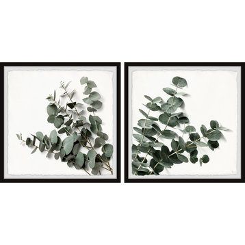 Eucalyptus Bloom Diptych, 2-Piece Set, 18x18 Panels