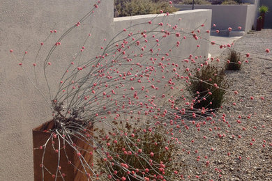 Inspiration for a contemporary landscaping in Other.