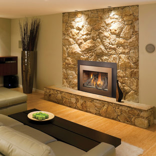 33 DVI Gas Fireplace Insert