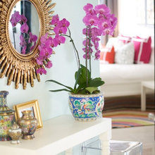 Sunburst Mirrors