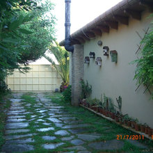 Garden - lush green