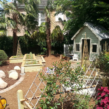 Butterfly Garden
