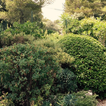 Rencontres au jardin