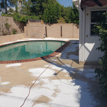 Backyard clean up and remodel