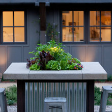 Garden/Salad Bar
