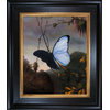 Heade - Blue Morpho Butterfly