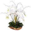 White Real Touch Phalaenopsis Silk Orchid Arrangement in a Natural Teak Bowl