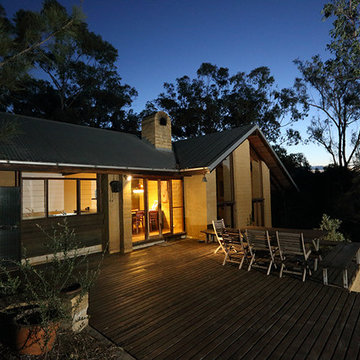 Corymbia
