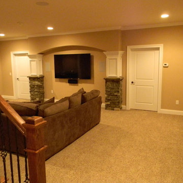 Basement Remodel