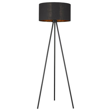 Trend Morenci 1-LT Floor Lamp TF70095BK - Matte Black
