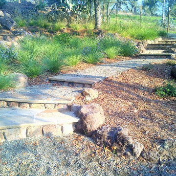 Hillside Garden