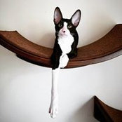 Jennifer Stanford's photo