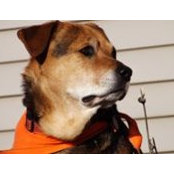 Chris Sargent's photo