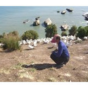 David Blumenthal's photo