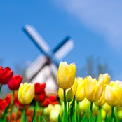 Foto von jacindalw