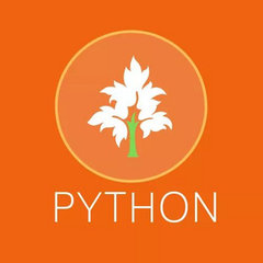 Python Srl