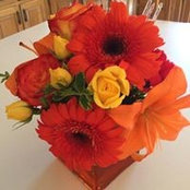 Sandra Hill's photo
