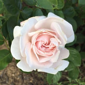 Ann M's photo