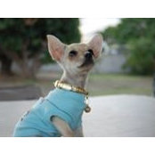 Cindy Waipa's photo