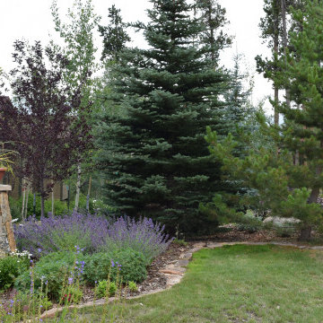 Design - Build Landscape Local Summit Residence