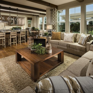 Transitional Family Room
