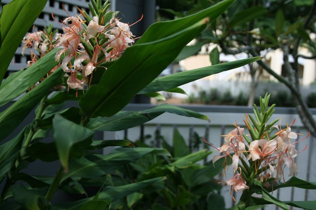 Contemporary  by My Verandah