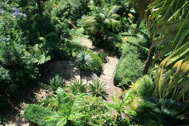 Design ideas for a tropical backyard full sun garden in Sydney with gravel.