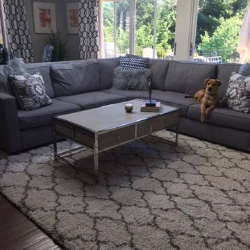 Shag area rug