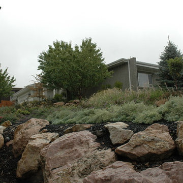 Above the Capitol Traditional Style Water Wise Yard