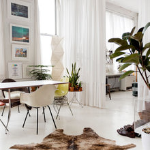Plants for the home